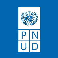 Offre d’emploi : le PNUD recrute un Consultant avec expertise internationale en construction de Petite Centrale Hydroélectrique