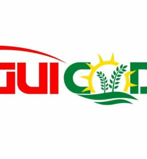 Appel à Candidature : recrutement de personnel pour le compte de l’instance de Coordination Nationale de Guinee (ICN-GUINEE)